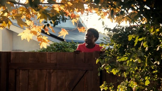 Image Life by Ella 3