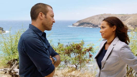 Image Hawaii Five-0 1