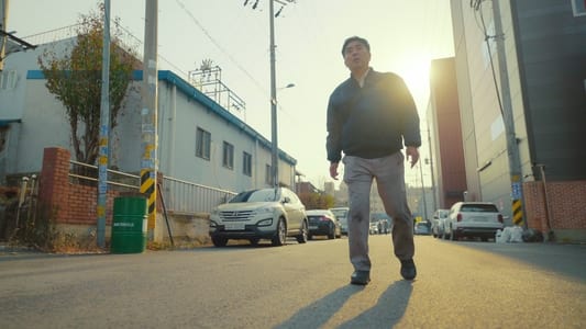 Image Nugget de pollo 4