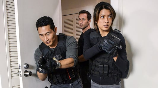 Image Hawaii Five-0 19