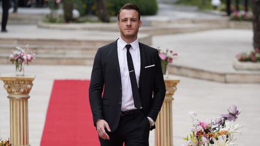 Image Love is in the Air 12