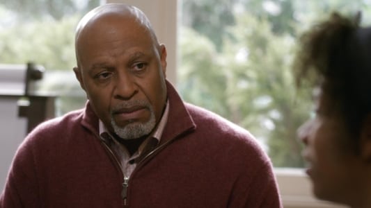 Image Anatomía de Grey (Greys Anatomy) 11