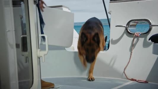 Image Hudson & Rex 3