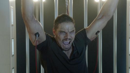 Image La Bella y Bestia (Beauty and the Beast) 10