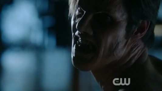 Image La Bella y Bestia (Beauty and the Beast) 15