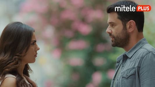 Image Secretos de amor 22