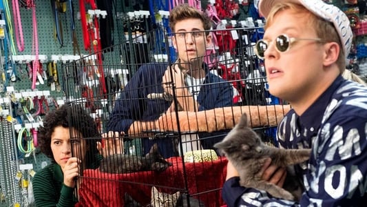 Image Search Party 9