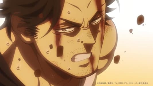 Image Black Clover 166