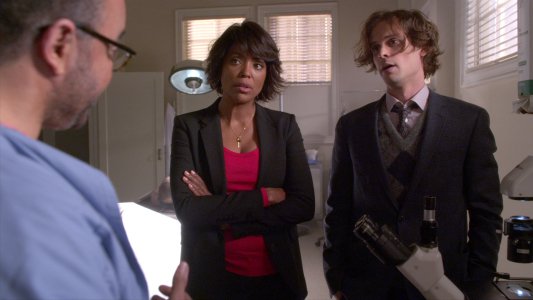 Image Mentes Criminales (Criminal Minds) 17