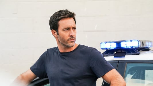 Image Hawaii Five-0 6