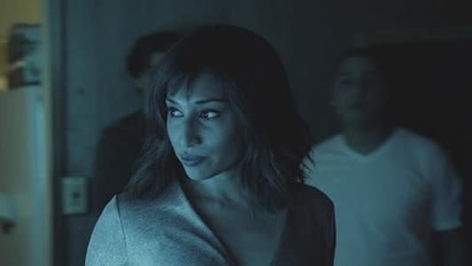 Image Hawaii Five-0 20