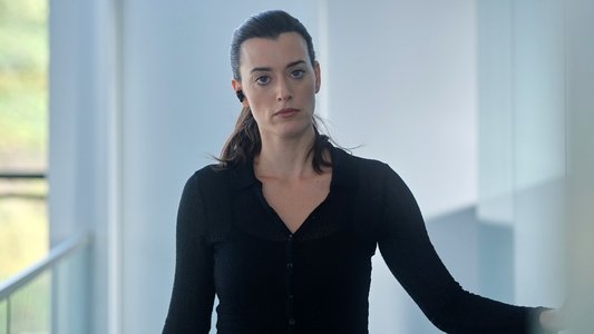 Image Sight Unseen (2024) 6