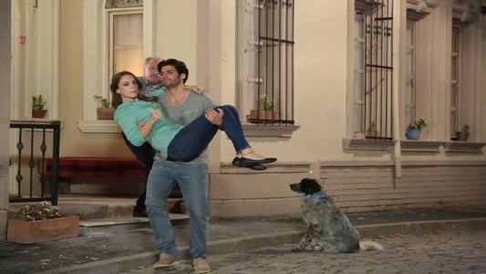 Image Matrimonio por sorpresa 8