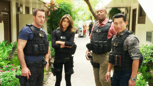 Image Hawaii Five-0 8