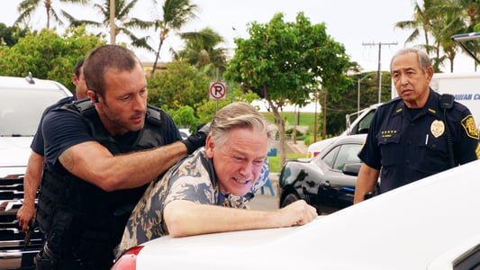Image Hawaii Five-0 13