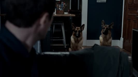 Image Hudson & Rex 3