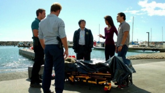 Image Hawaii Five-0 8
