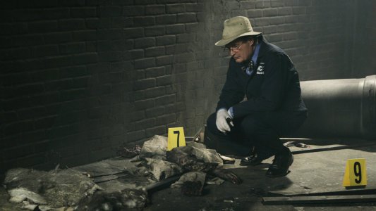 Image NCIS (Navy: Investigación criminal) 19