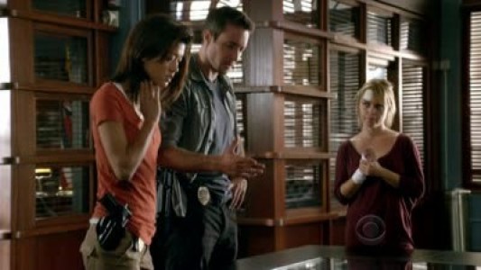 Image Hawaii Five-0 13