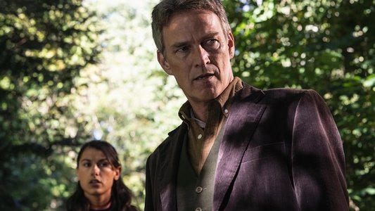 Image Art Detectives 2