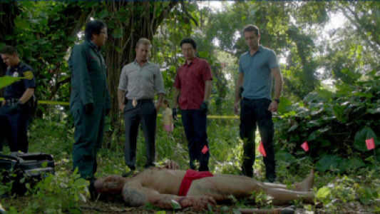 Image Hawaii Five-0 17