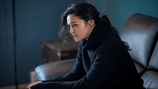 Image Law & Order: Organized Crime 6