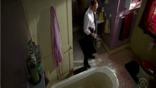 Image Mentes Criminales (Criminal Minds) 15