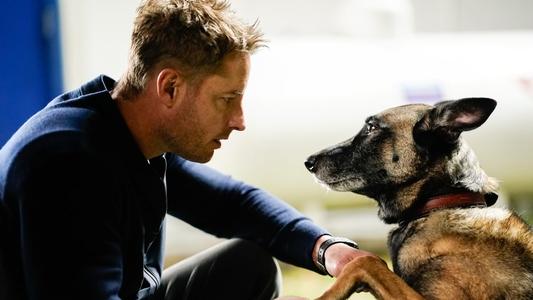 Image Tracker (2024) 7