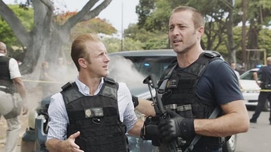 Image Hawaii Five-0 2