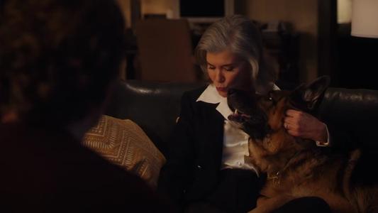 Image Hudson & Rex 15