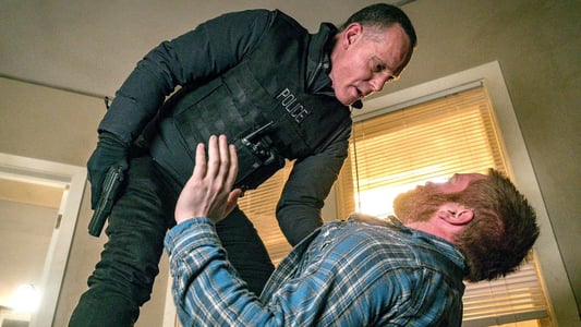 Image Chicago P.D. 20