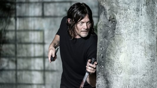 Image The Walking Dead 17