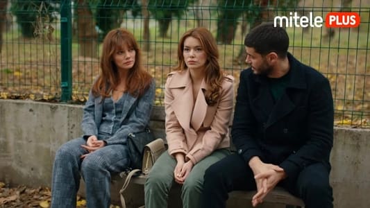 Image La Luz De Mi Vida 43