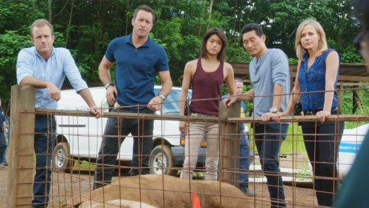 Image Hawaii Five-0 9