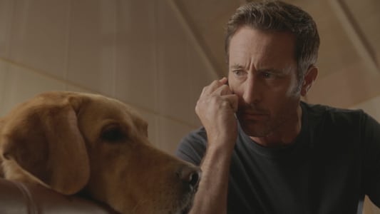 Image Hawaii Five-0 14