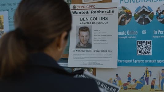 Image Allegiance (2024) 5