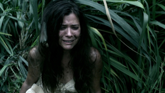 Image Hawaii Five-0 11