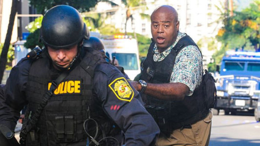 Image Hawaii Five-0 15