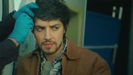 Image Las hermanas Guerra 10