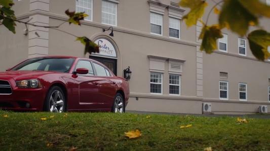 Image Hudson & Rex 13