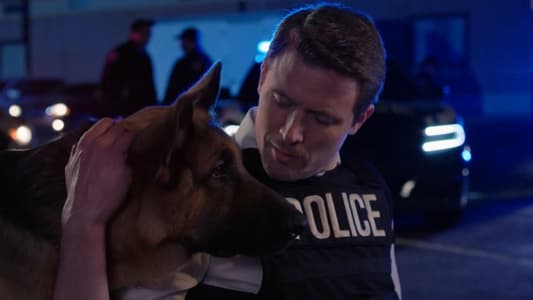 Image Hudson & Rex 1