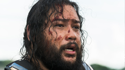 Image The Walking Dead 4