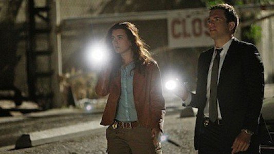 Image NCIS (Navy: Investigación criminal) 22