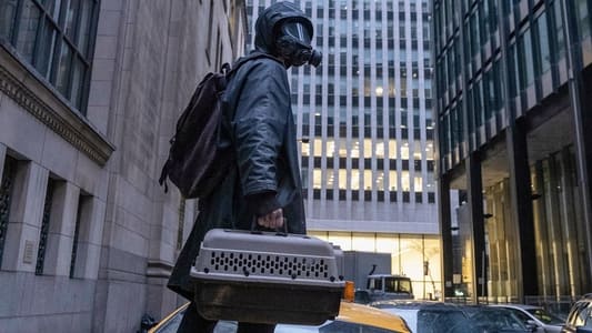 Image Y: El último hombre 1