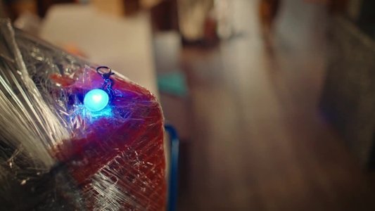 Image Hudson & Rex 2