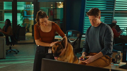 Image Hudson & Rex 8