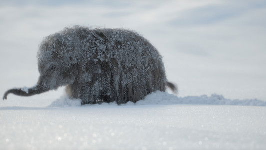 Image Prehistoric Planet (2022) 1