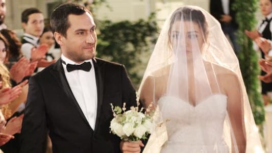 Image Black Diamond 4