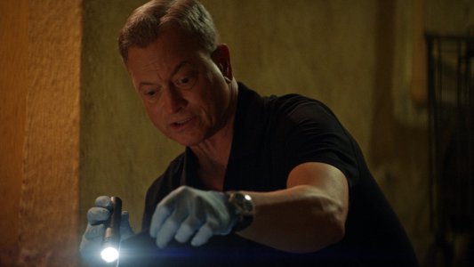 Image Mentes Criminales: Sin Fronteras 6