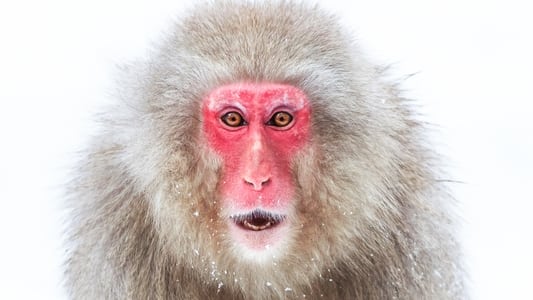 Image Planeta helado II 3